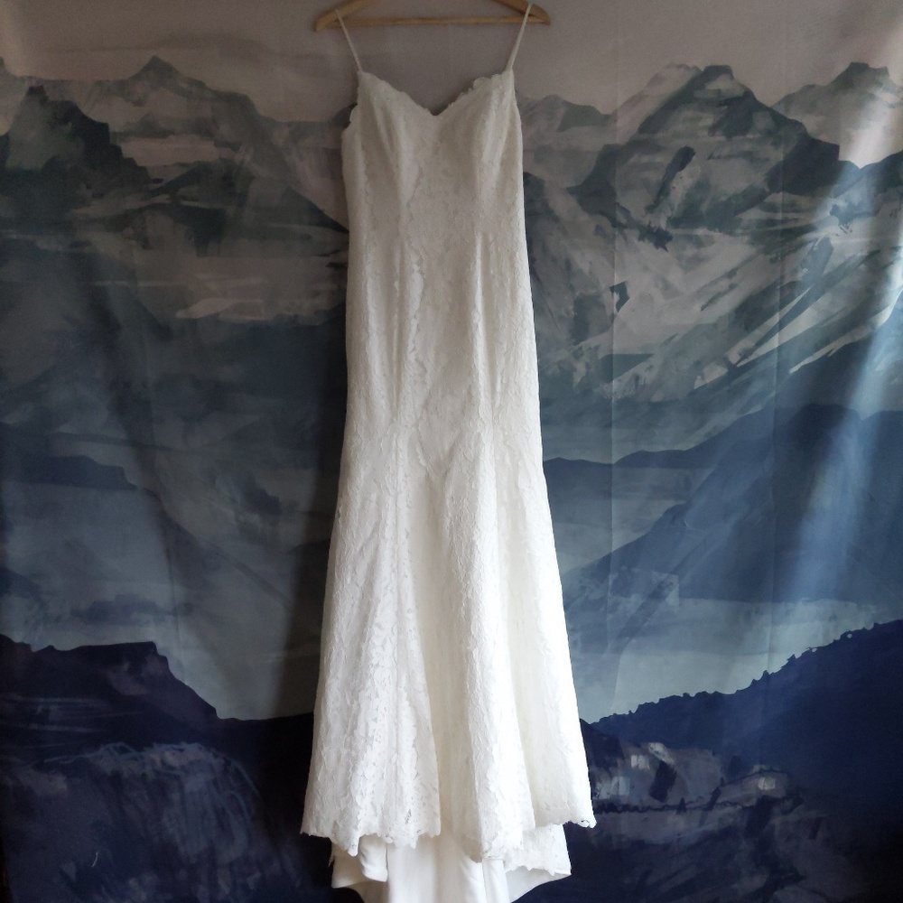 Beautiful Boho Lace Wedding Dress - Never Worn and Unaltered!